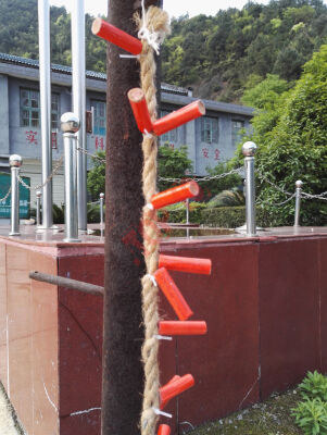 XP0001 HUKER    (12 sznurów)  - 2