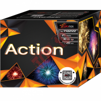 PXB2122 ACTION