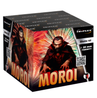 TXB081T1 BATERIA MOROI T1 42S 1"