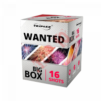 TXB067 WANTED BATERIA 16s 1.9" F3