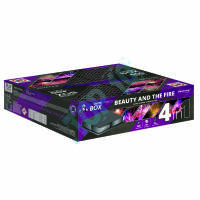  TXB015 BEAUTY AND THE FIRE 400S @