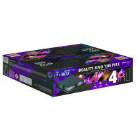  TXB015 BEAUTY AND THE FIRE 400S @